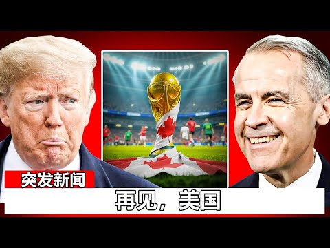 围棋未来趋,势探析,奇略研究所,天天盈球足球比分网,体育官网,平台入口,足球比分,即时比分,比分直播