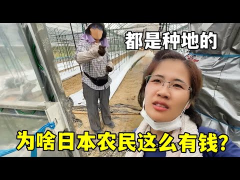 林诗栋登顶,世界第一后,首战亮相,天天盈球足球比分网,体育官网,平台入口,足球比分,即时比分,比分直播