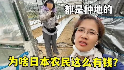 林诗栋登顶世界第一后首战亮相，亚洲杯分组结果揭晓