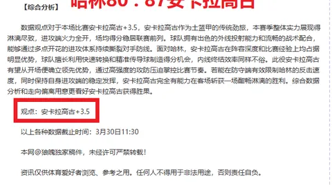塔图姆华丽复出，高效输出29分10板8助