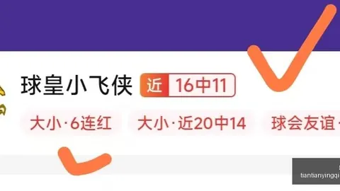 天天盈球足球比分天天盈球足球比分网突发变动引发关注